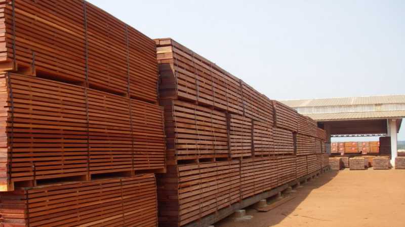 news-plywood brazil wood plywood