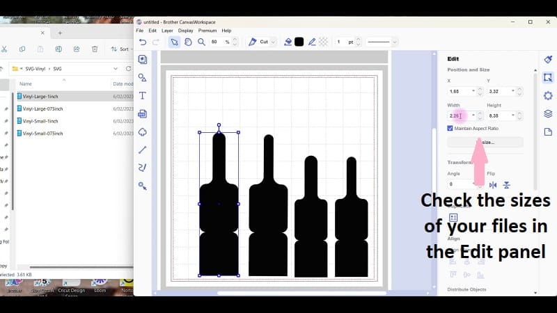 Check the sizes of the various files that have been imported in the Edit panel of Canvas Workspace downloaded version.