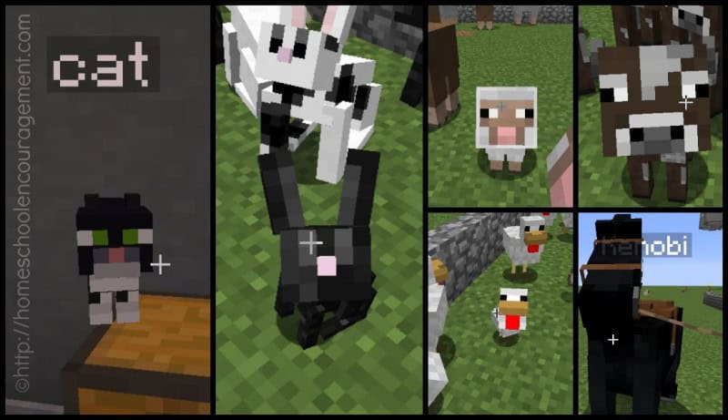 MInecraftfarmanimals1