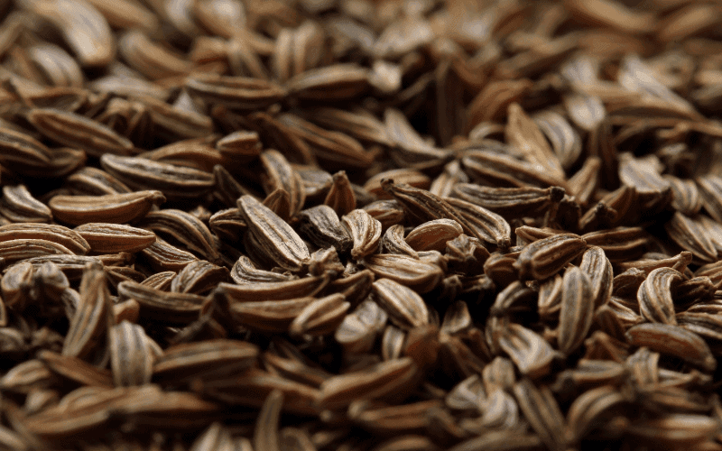 Caraway seeds