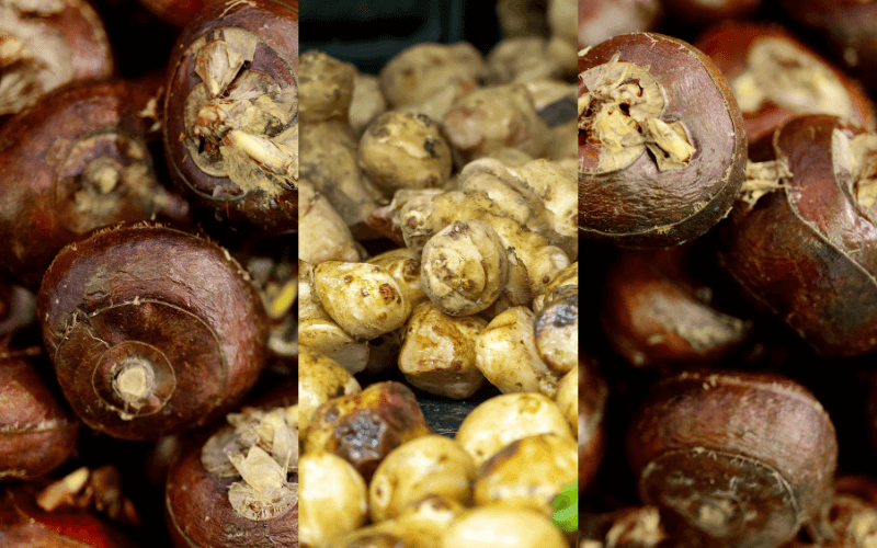 Water Chestnuts Substitutes