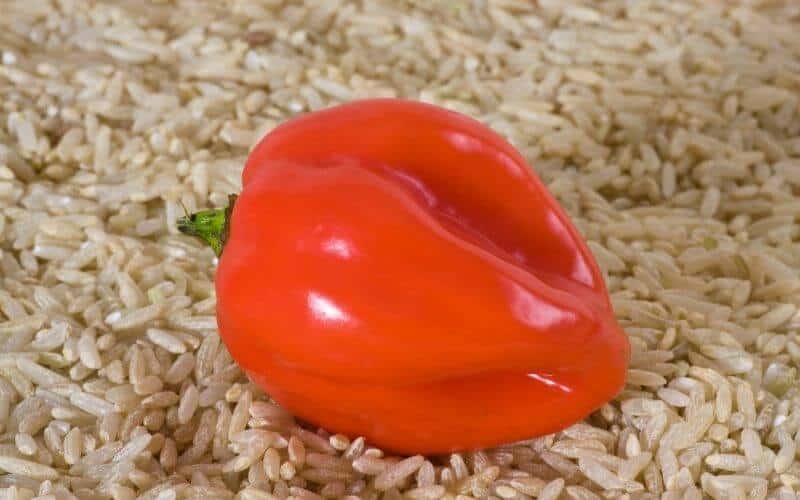 How to Freeze Scotch Bonnet Peppers