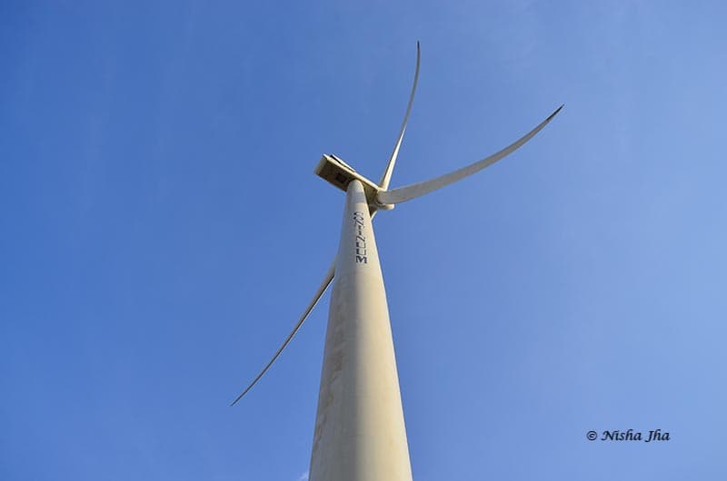 windmills in my backyard