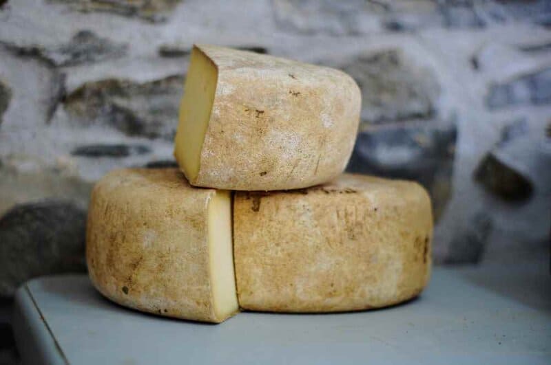 Wheels of cheese. Photo by Alexander Maasch on Unsplash