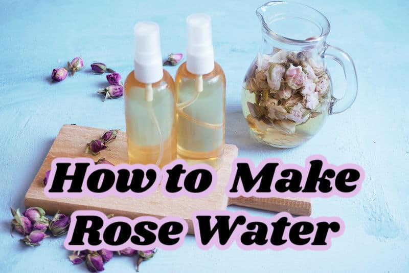 DIY rose water recipe.
