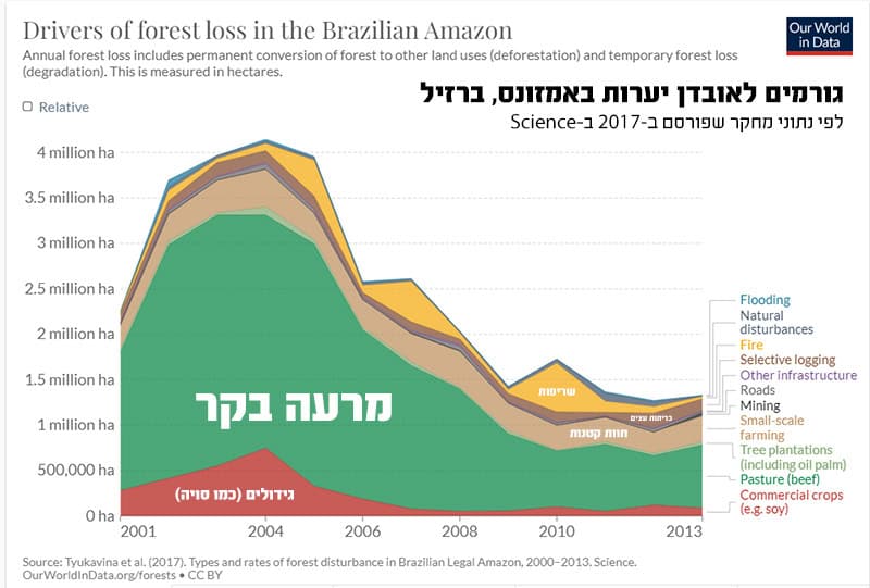 גורמים לאובדן שטחים מיוערים באמזונס בברזיל גורמים לאובדן שטחים מיוערים באמזונס, ברזיל