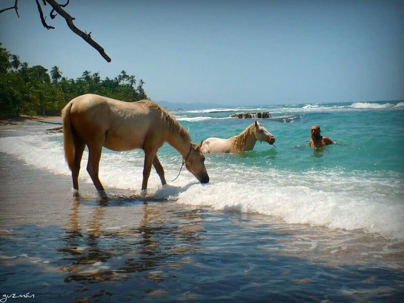 Horseback Riding Costa Rica