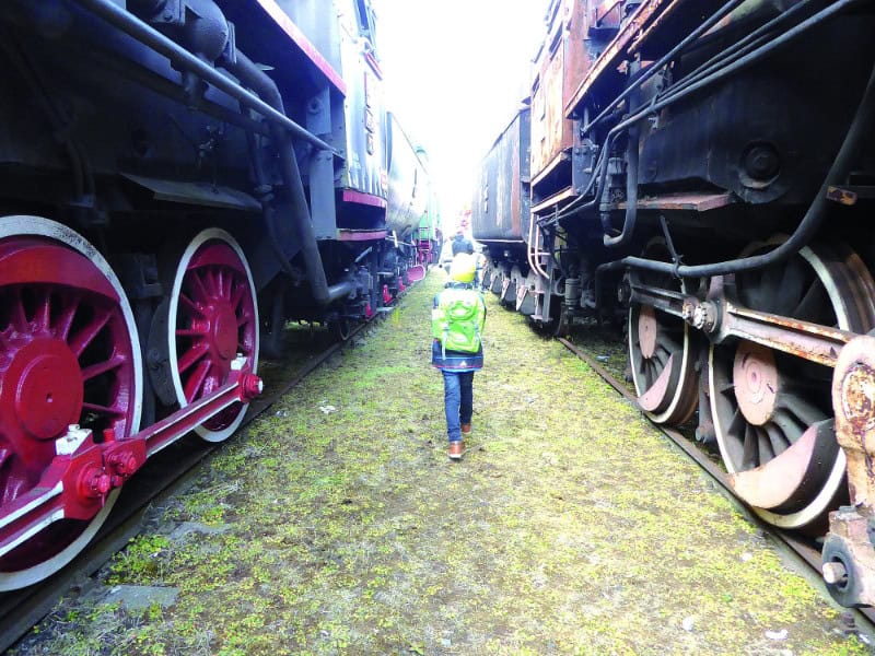 Mit der ganzen Familie in den Zug