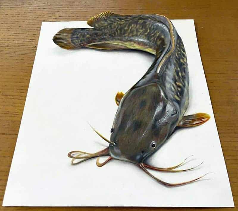 28+ Gambar 3D Keren Karya Seniman Jepang Bagai Ilusi Optik Yang Nyata 4 01. Gambar 3D "Ikan Lele" - Design Erlistic