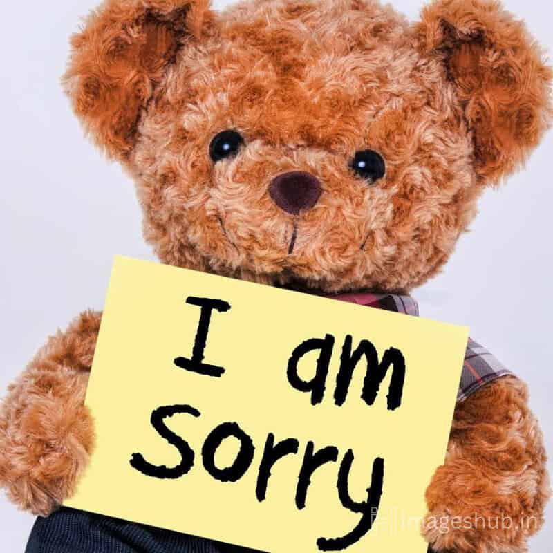 cute teddy bear holding an I am sorry note for the loved ones
