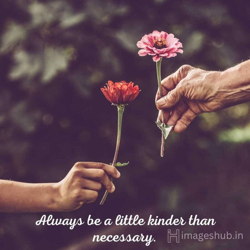 two hands holding flowers showing respect and care to each other