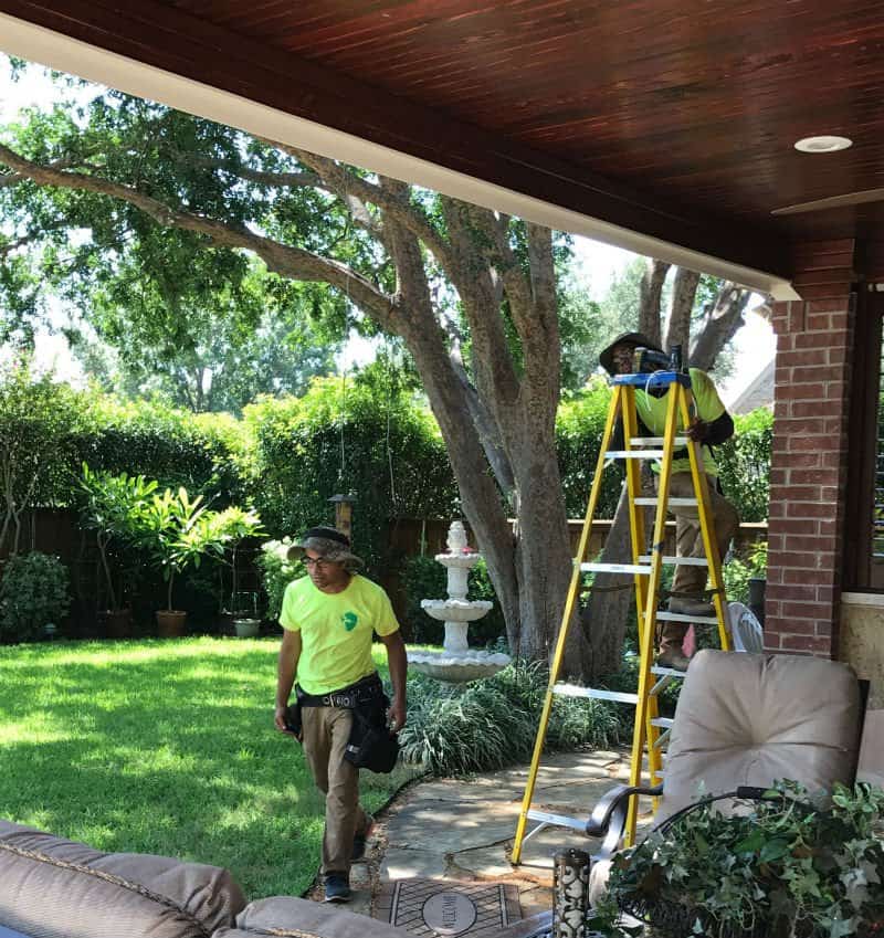 mosquito systems repair