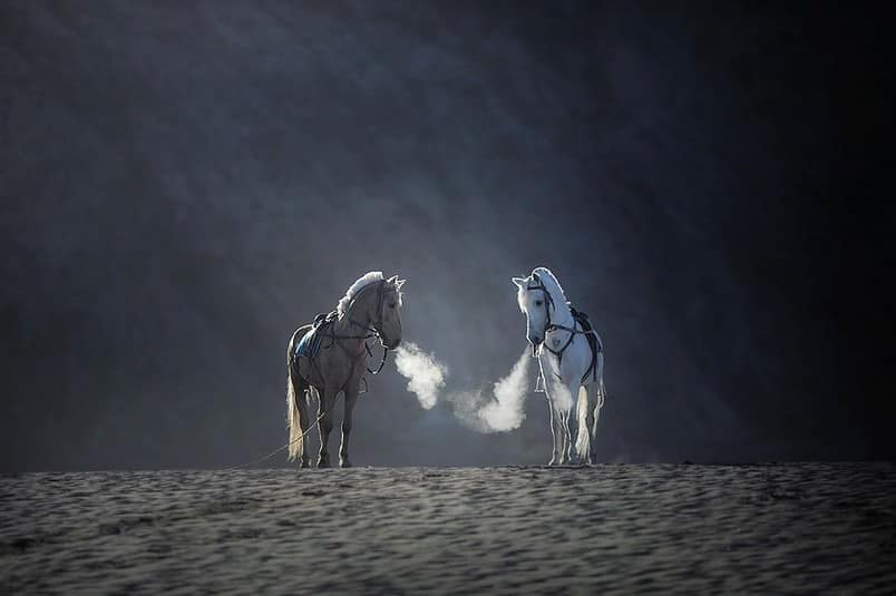 45+ Fotografi Alam Pedesaan Indah Yang Menyejukan Hati 32 31. Photo Pemandangan Desa - Karya Achmad Munasit / Asit - Design Erlistic