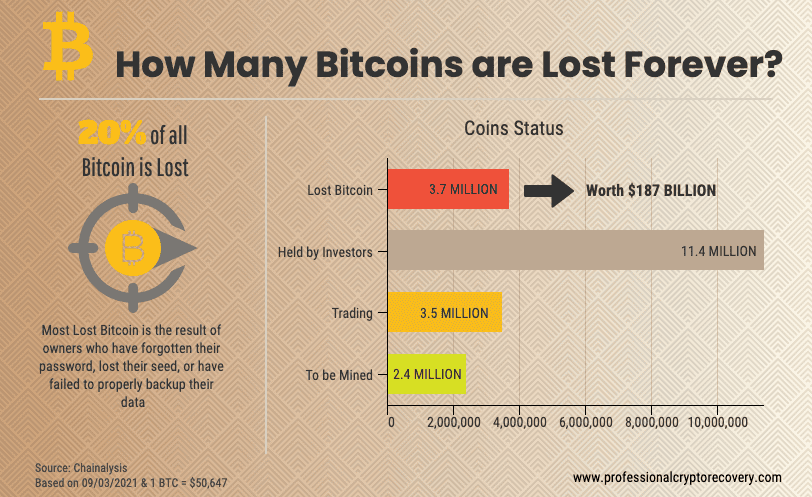 Lost Bitcoin Infographic