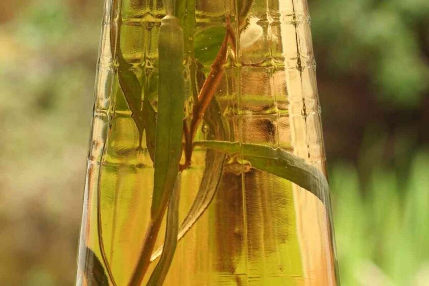 Tarragon Vinegar Substitutes