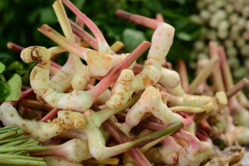 Substitutes For Galangal
