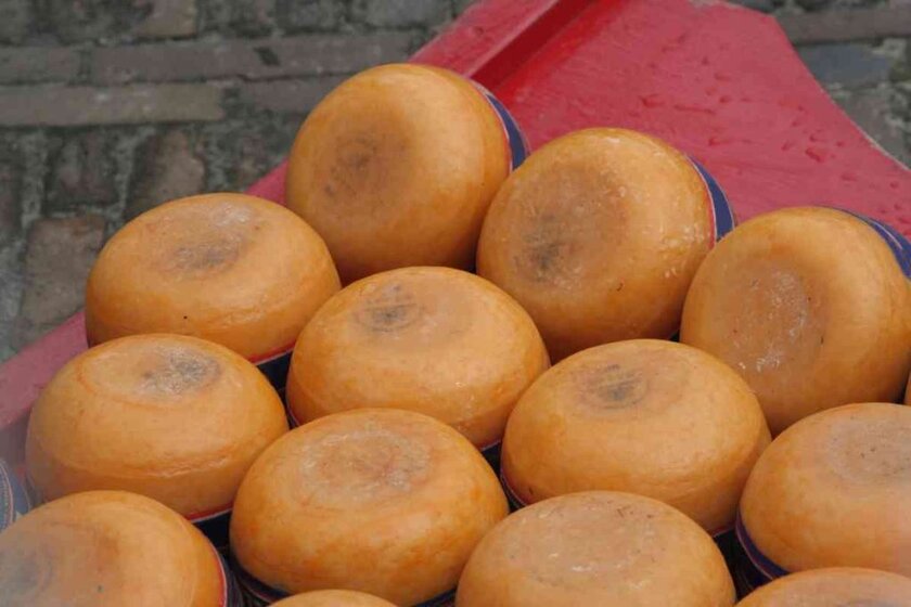 How Is Edam Cheese Made