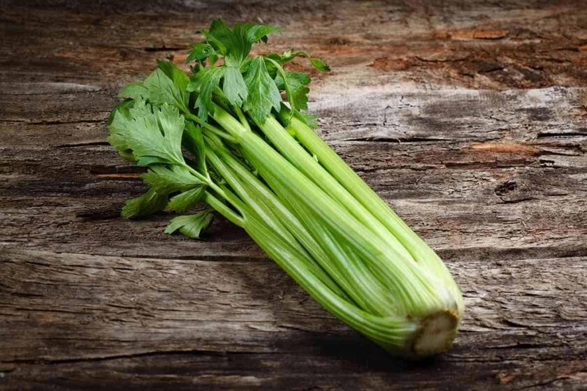 How Long Does Celery Last Once Cut