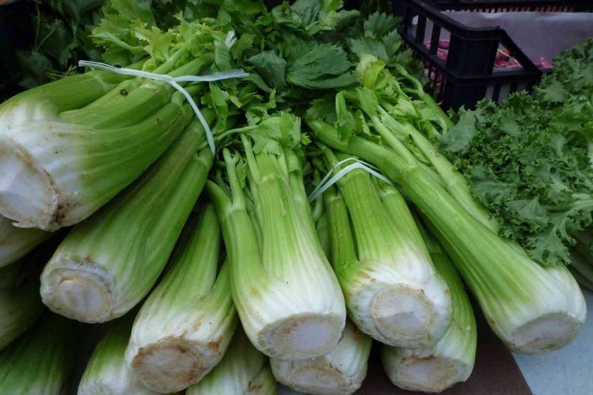 How To Store Celery