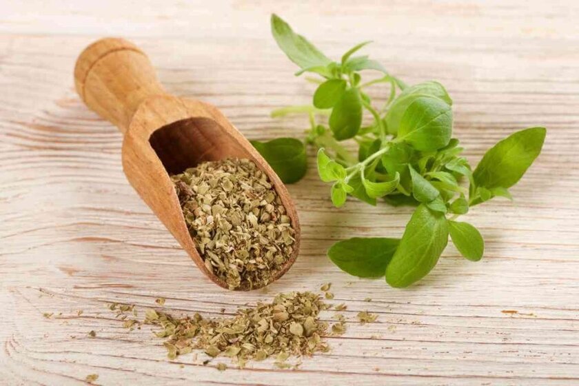 Oregano Substitutes