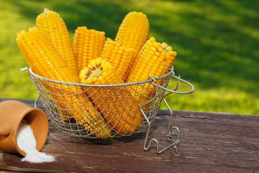 Why Does Corn Make You Poop