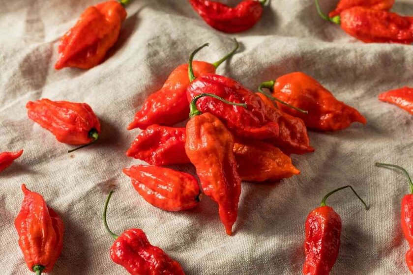 Ghost Pepper Scoville Scale