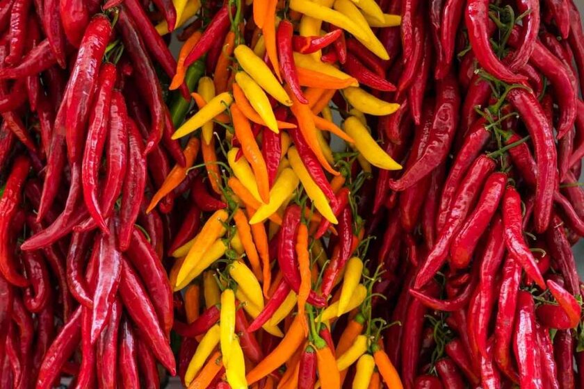 Hottest Peppers By Scoville Scale