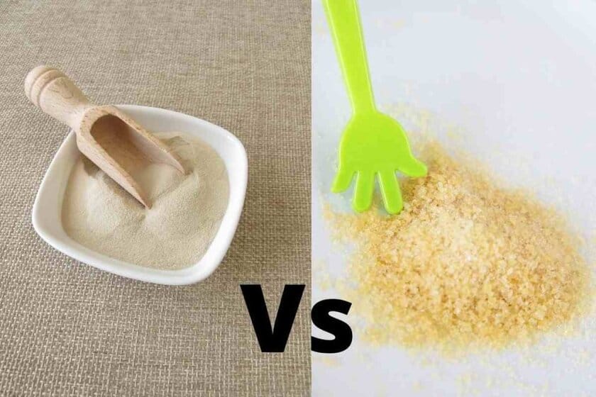 Agar Agar Vs Gelatin