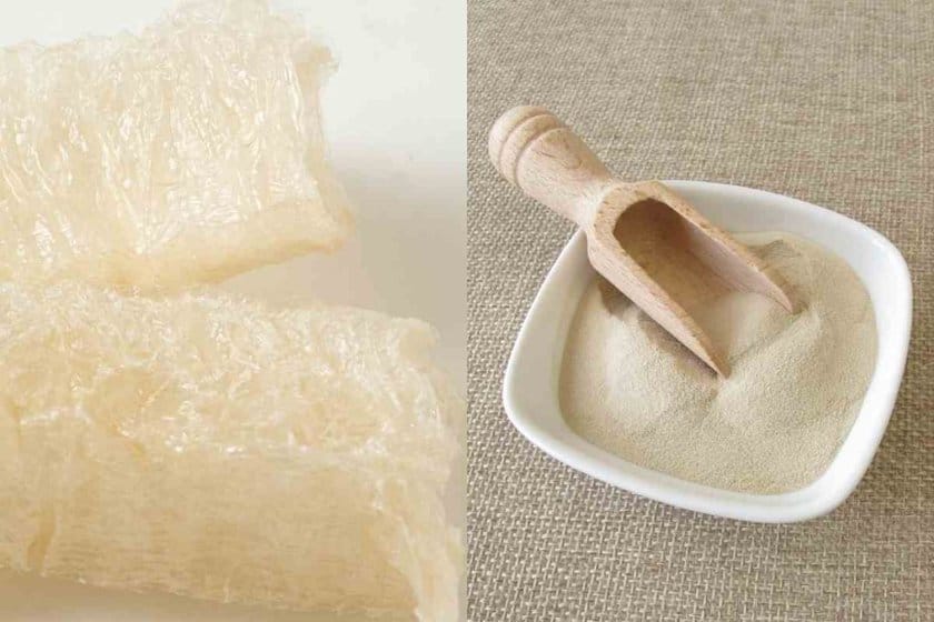 Agar Flakes Vs Powder