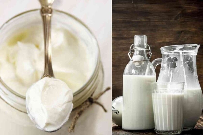 Can Heavy Whipping Cream Be Substituted for Milk?