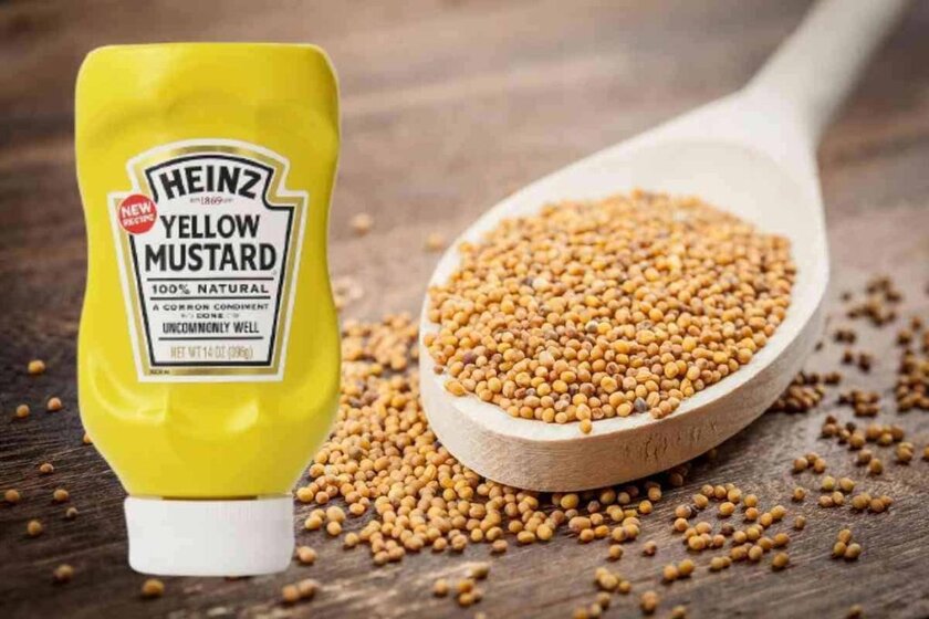 Is Heinz Mustard Vegan