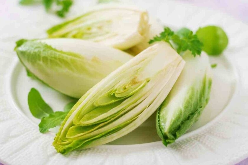 Chicory Substitutes