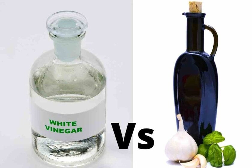 What Is The Difference Between Distilled Vinegar And Cleaning Vinegar Distilled Vinegar Vs White Vinegar: Key Differences