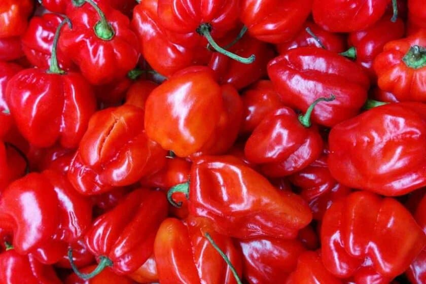 Scotch Bonnet Pepper Substitutes