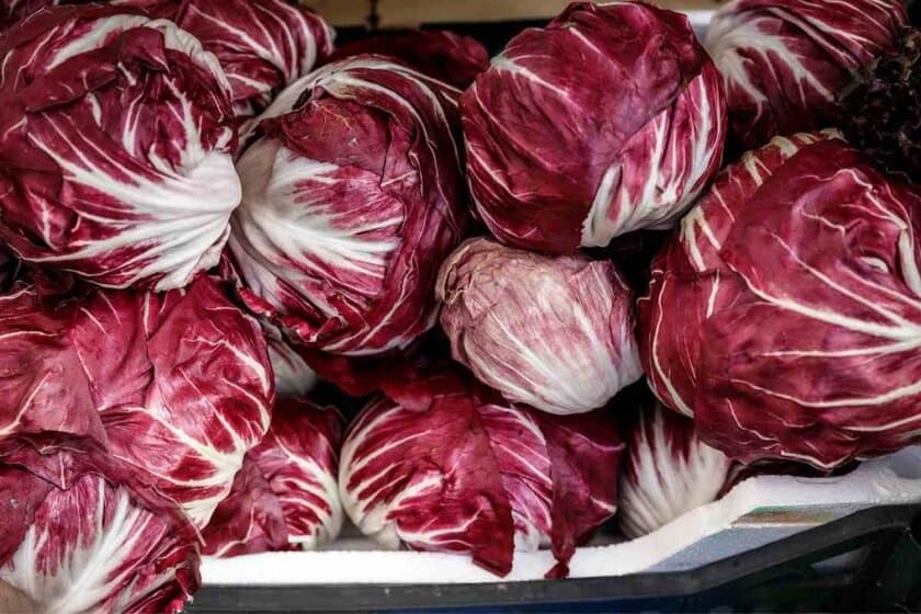Substitutes for Radicchio