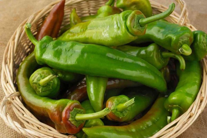 Anaheim Pepper Substitutes
