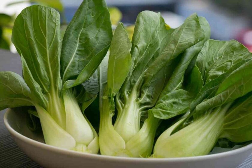 Bok Choy Substitutes