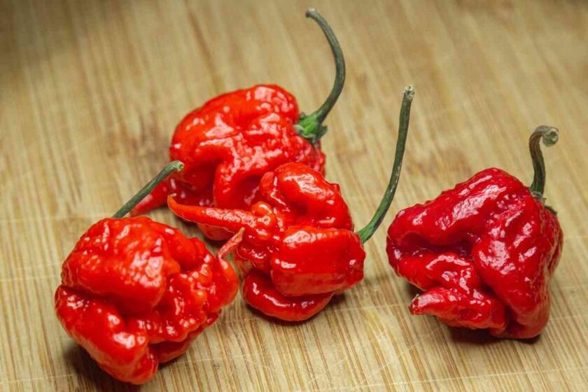 How Hot Is a Carolina Reaper