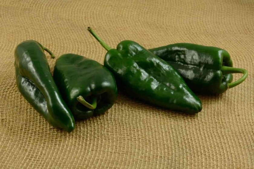 Poblano Pepper Substitutes