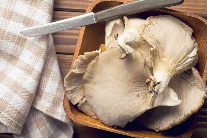 Substitutes For Oyster Mushrooms