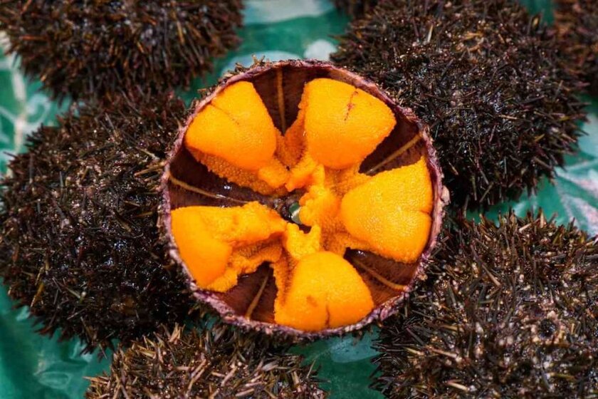 What Does Uni Taste Like