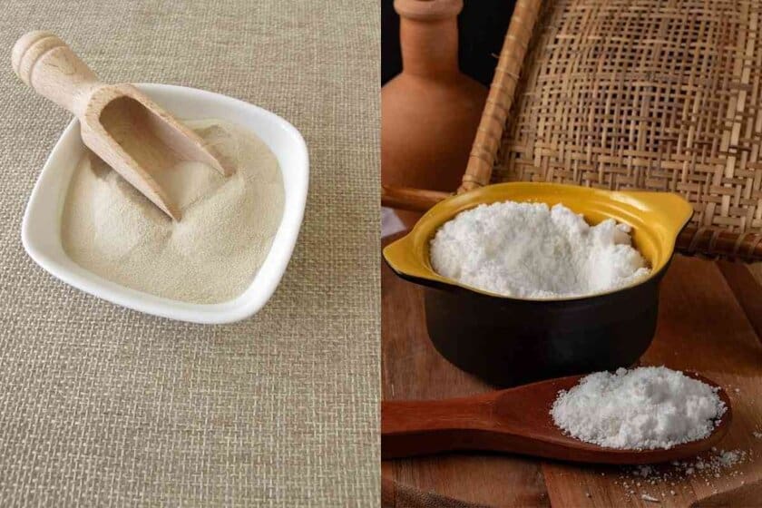 Agar Agar Vs Tapioca Starch