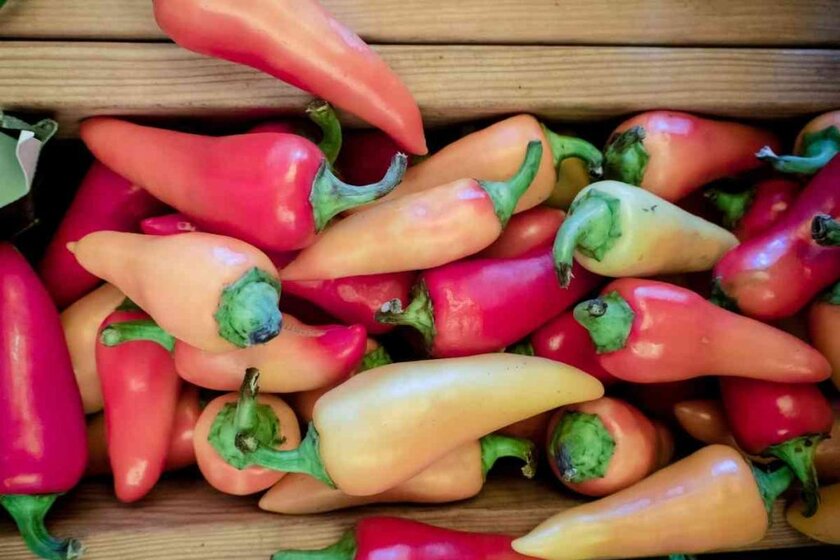 Best Chile Caribe Substitutes