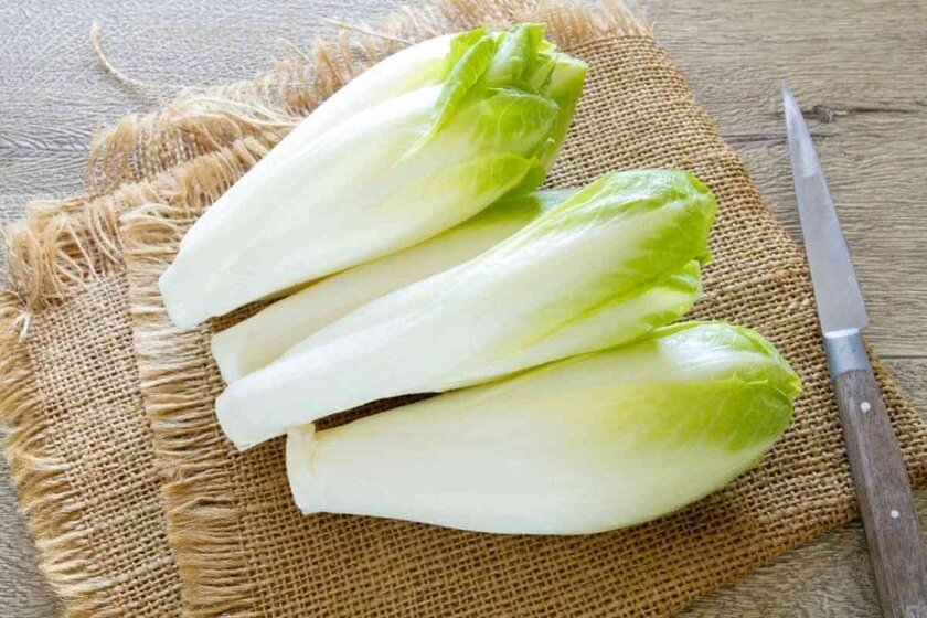 Endive Substitutes
