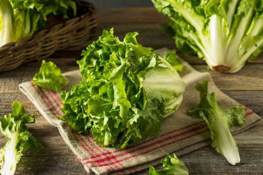 Escarole Substitutes