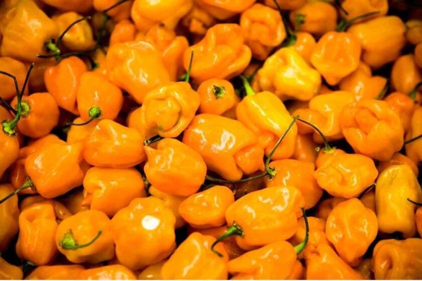Habanero Pepper Substitutes