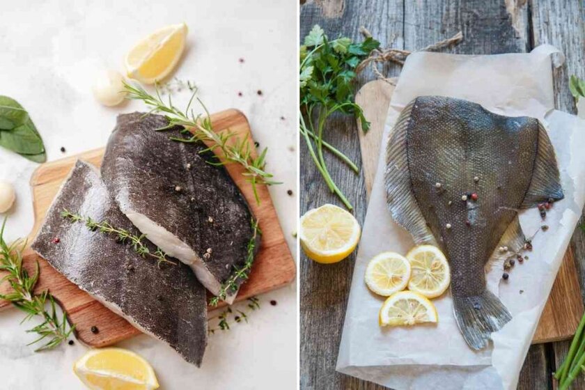 Halibut Vs Flounder