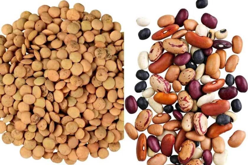 Lentils Vs Beans