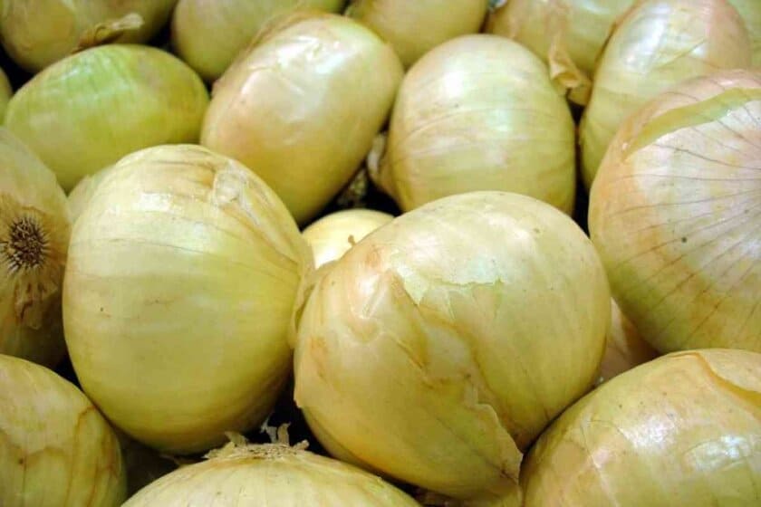 Sweet Onion Substitutes