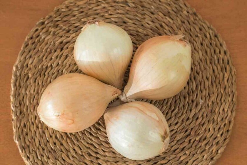 Vidalia Onion Vs Sweet Onion
